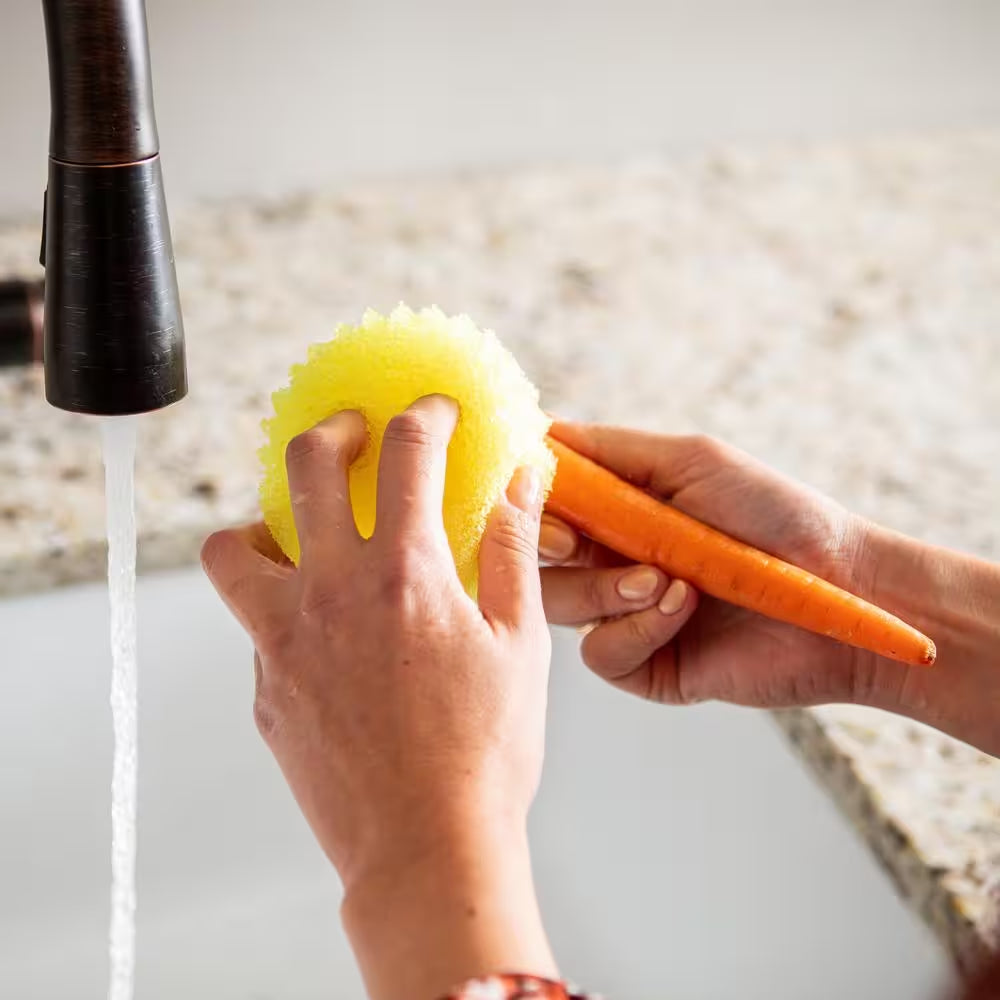 The Original Sponge
