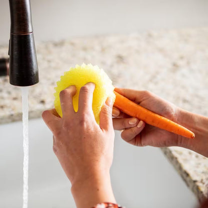 The Original Sponge